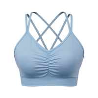 Sports Ruched V Neck Bra