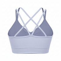 Sports Ruched V Neck Bra Light Purple